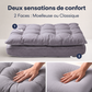 OREILLER 2 EN 1 CONFORT+